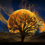 Beautiful Moon Clicks