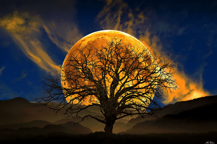 Beautiful Moon Clicks - Viral Rang