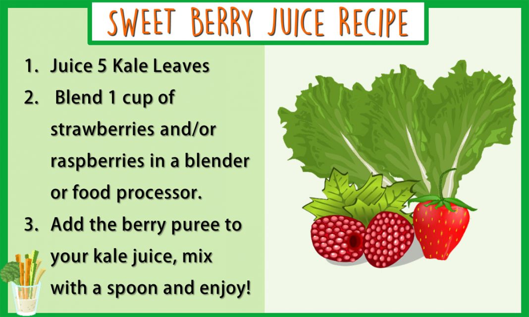 27 Healthy Juice Recipes Viral Rang