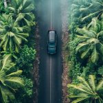 Eco-Friendly Cars: Myths, Facts, and Future Trends