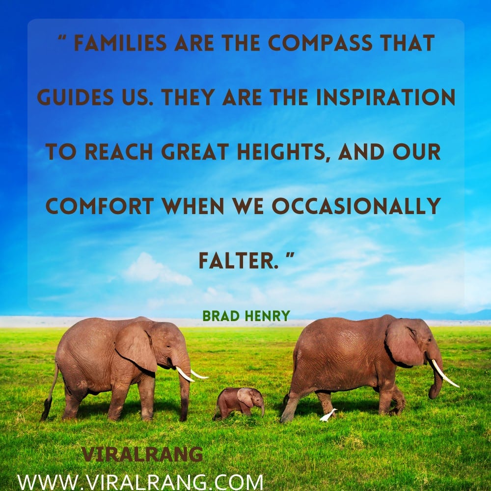 Families are the compass that guides us. They are the inspiration to reach great heights, and our comfort when we occasionally falter. Inspirational Family Quotes