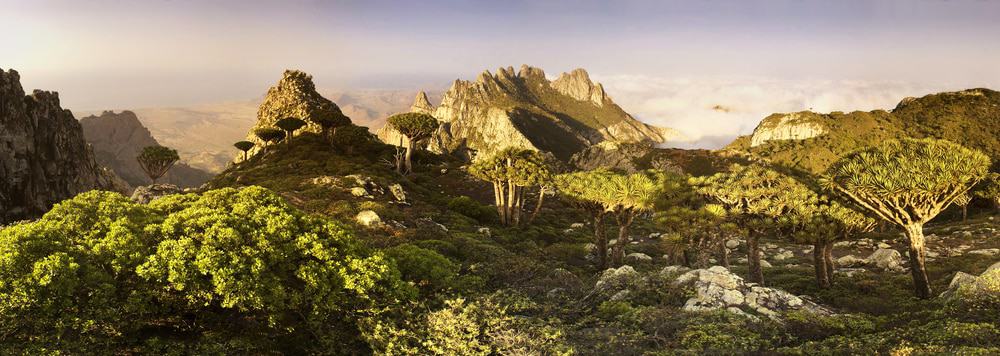Socotra Island, Yemen. Scenic landscape of Socotra or Soqotra island with sun shining in blue sky, Indian ocean.