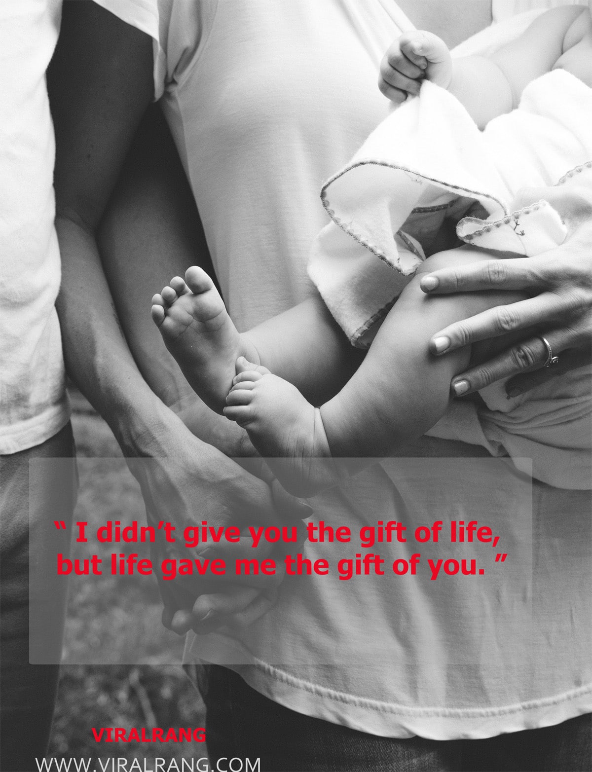 Life gave me the gift of you - Family Quotes
