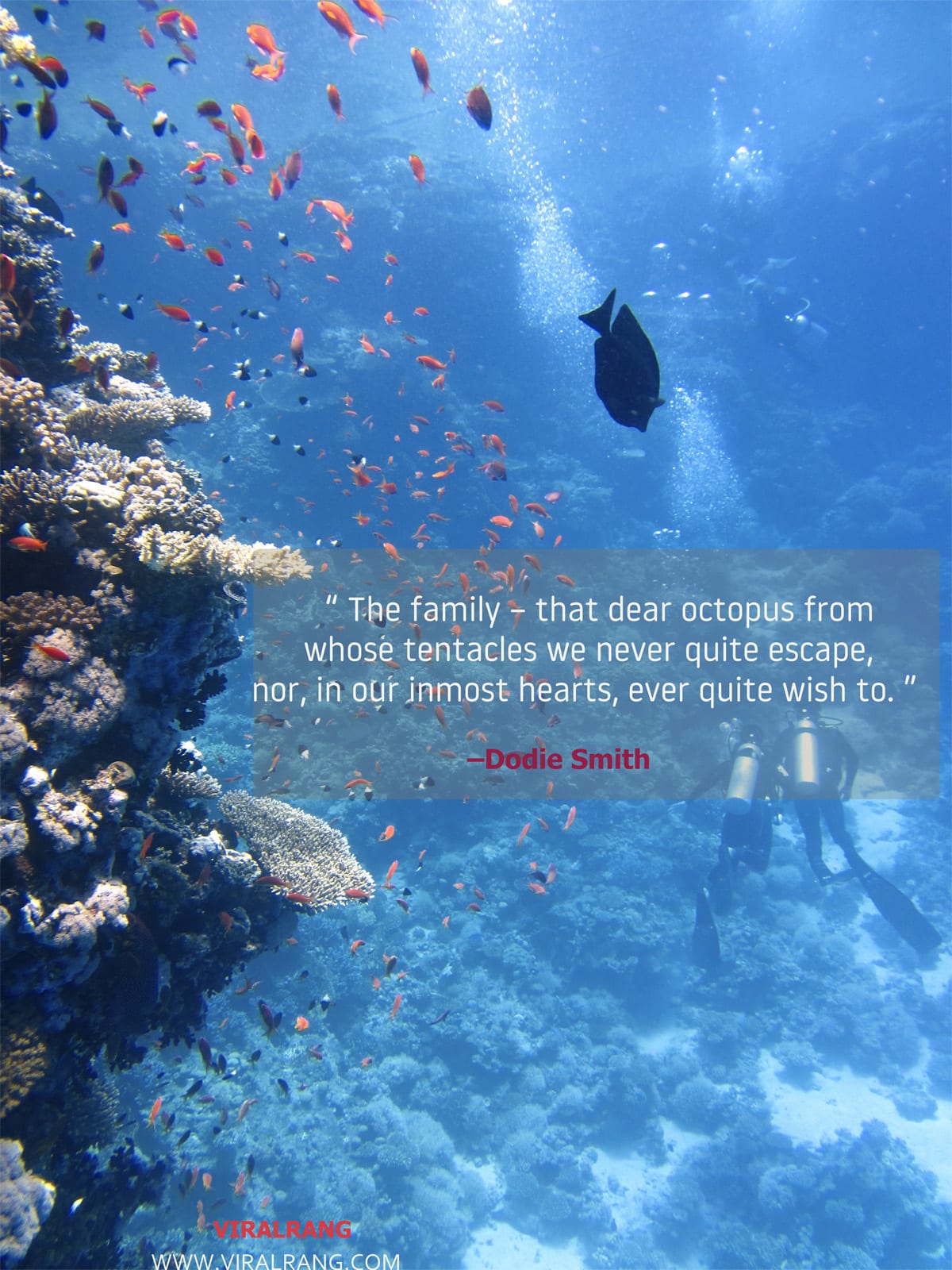 The family – that dear octopus