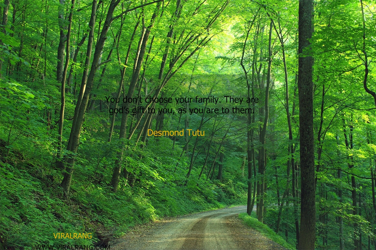 You don’t choose your family