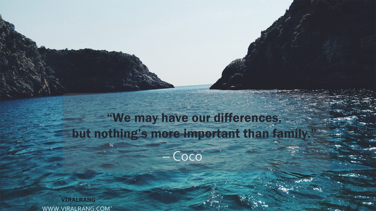 Nothing’s more important than family - Family Quotes