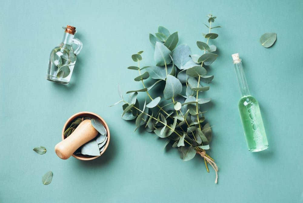 Eucalyptus oil, Essential Oils
