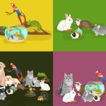 How to Pick the Right Pet for You