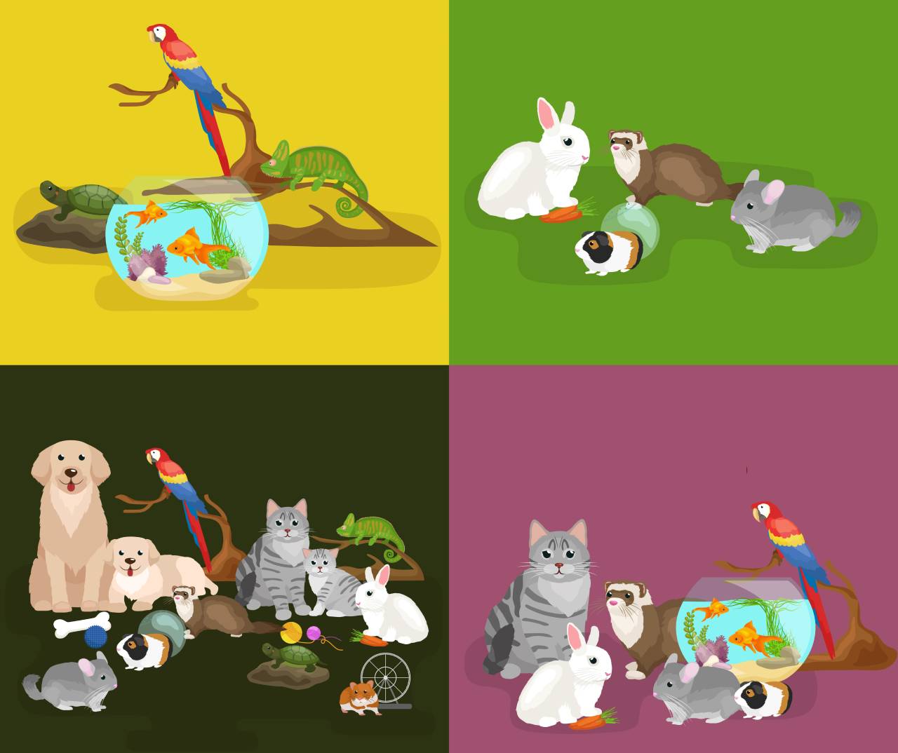How to Pick the Right Pet for You
