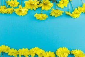 Destinations For Nature Lovers