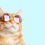 How to Improve Eyesight