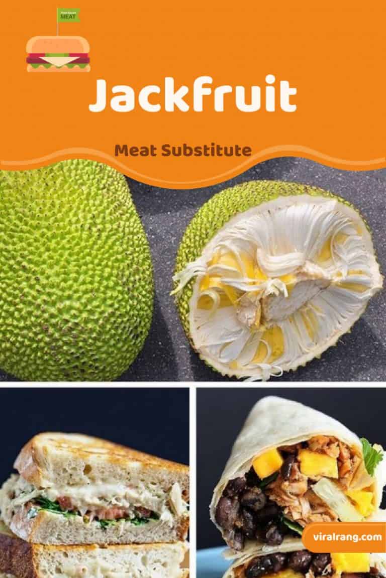 Meat Substitutes Top Healthy Meat Substitutes That Provide The