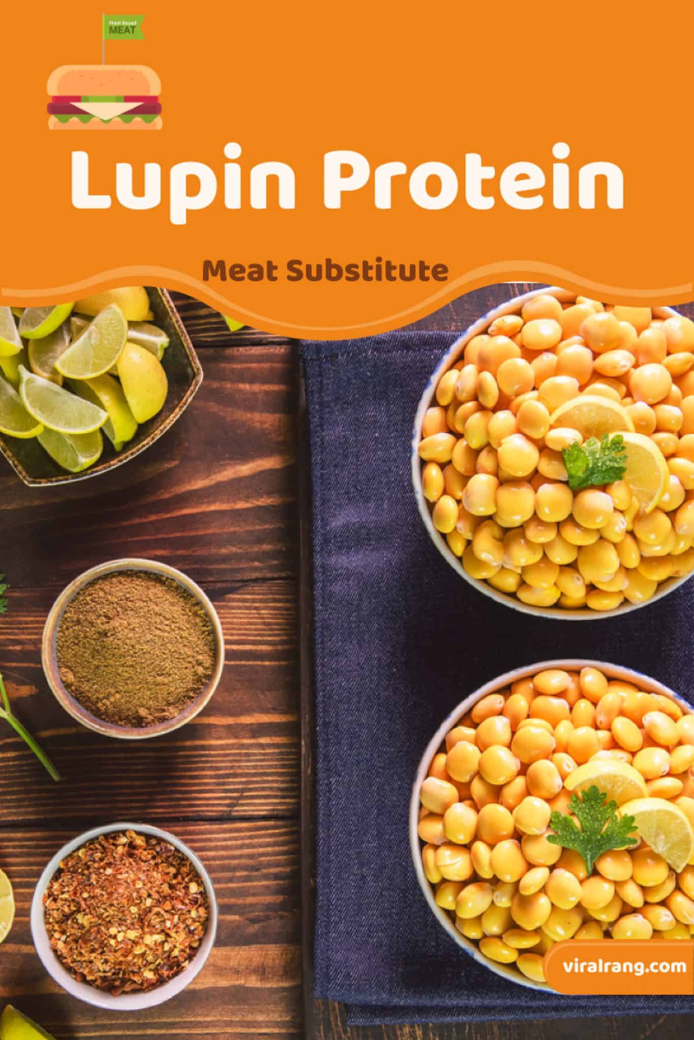 Meat Substitutes Top Healthy Meat Substitutes That Provide The Protein You Need Viral Rang