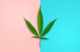 Cannabis Strains