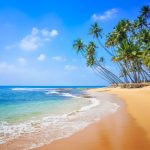 AdobeStock 179855946