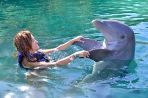 Swimming with Dolphins in Jamaica