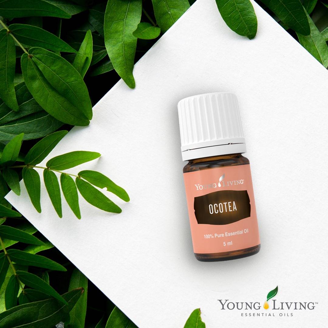 Ocotea Essential Oil: Nature’s Answer to Common Health Concerns