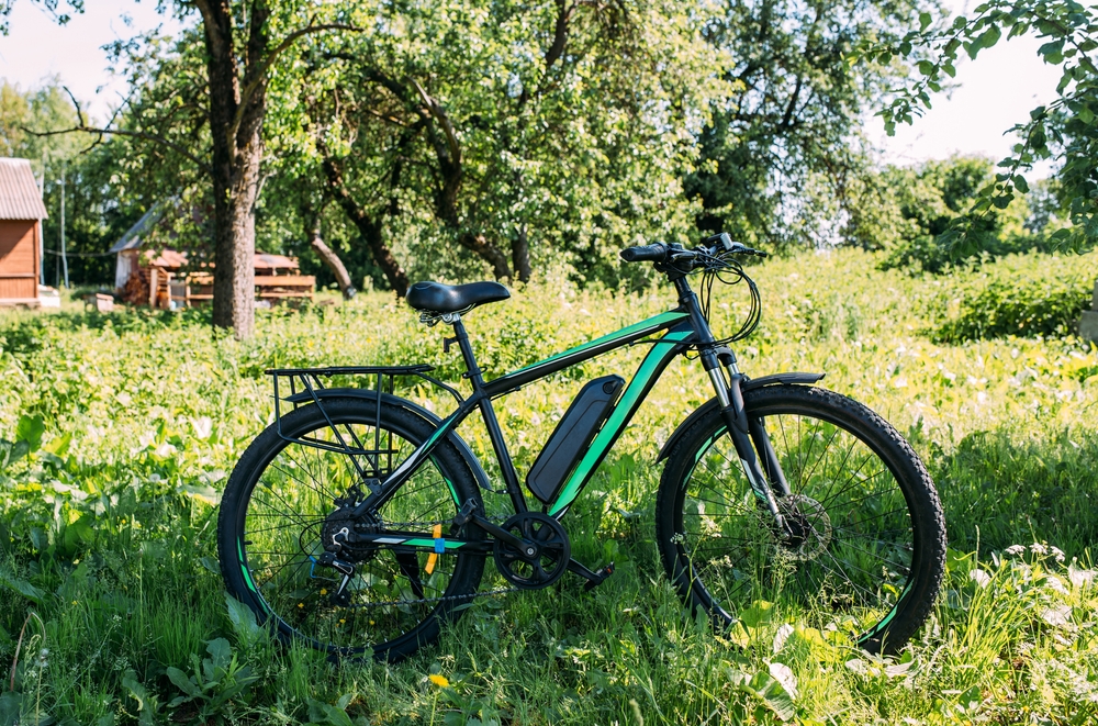 From Commuters to Adventurers: Who's Embracing E-Bikes ?