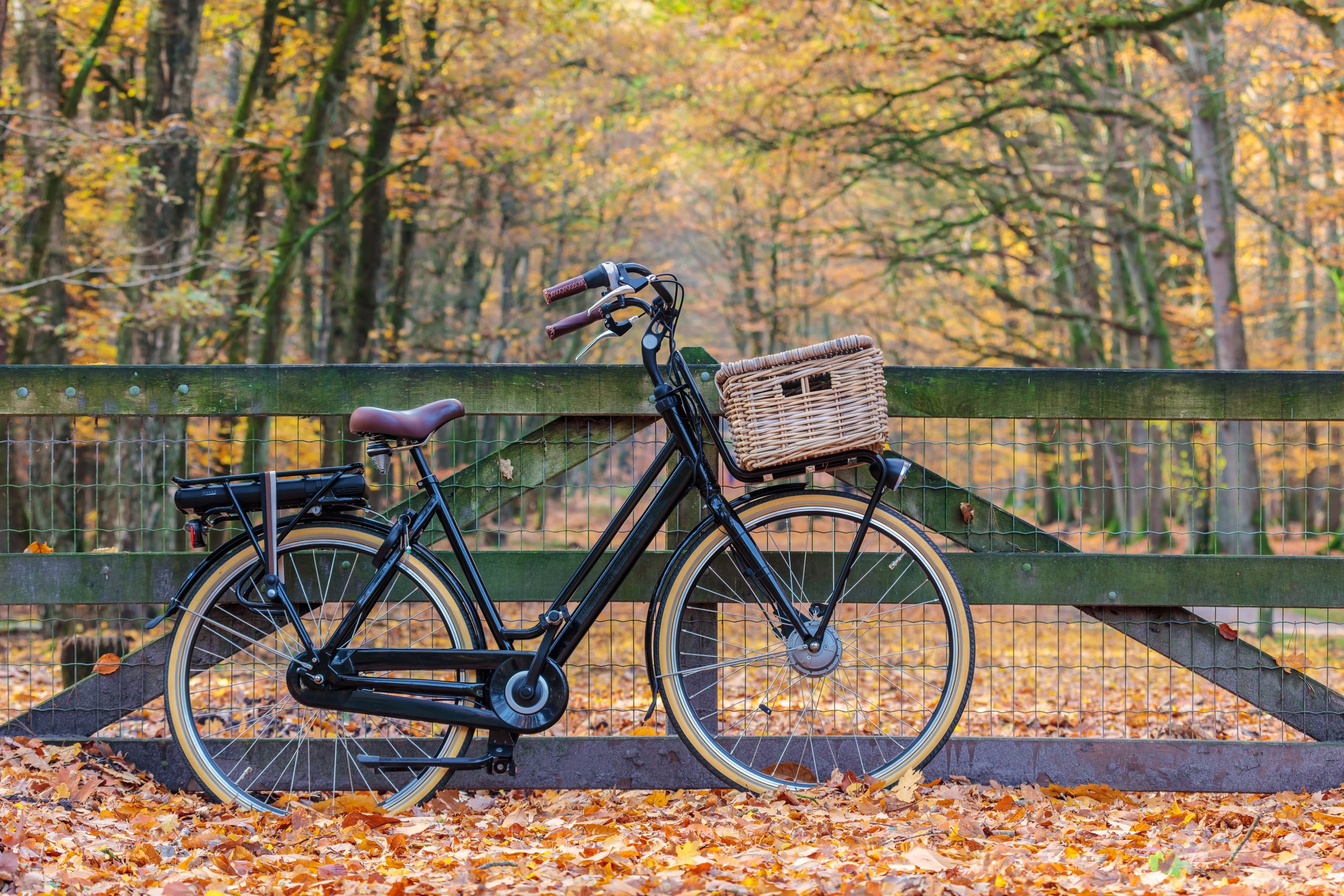 The Faces of E-Bikes: Who's Riding Into the Future?
