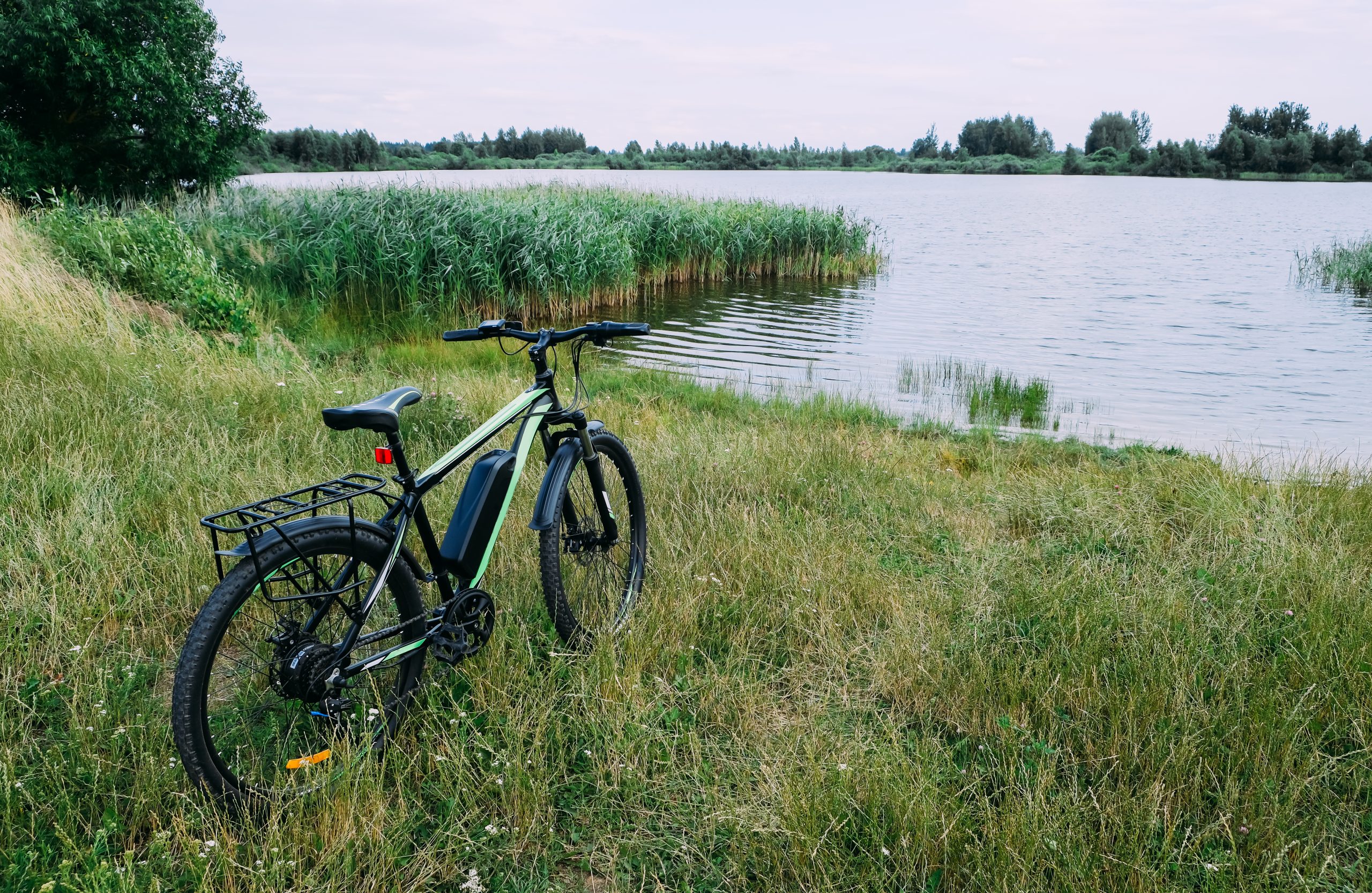 E-Bikes for Everyone: Unpacking the Buyer Demographics