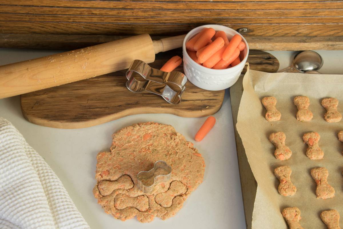 Spoil Your Pet: Homemade Treats Your Pet Will Crave