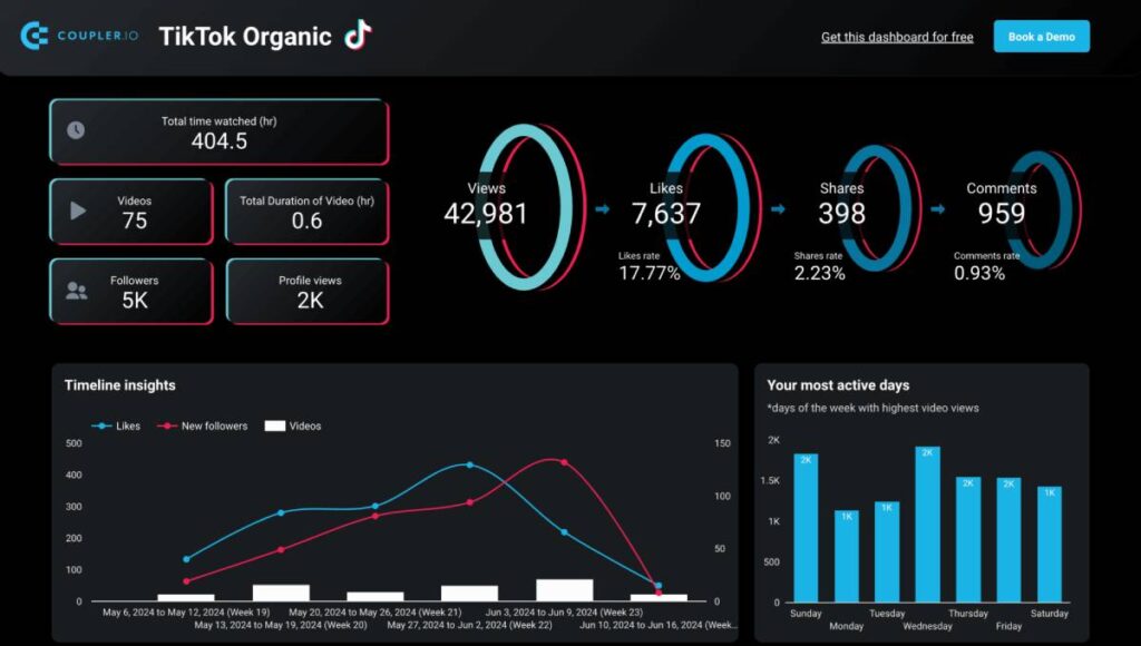TikTok Monitoring and Measuring Performance