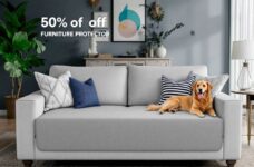Keeping It Clean: Reliable Furniture Protector for Pet Owners