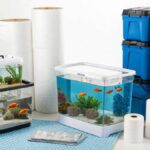 Step-by-Step Tips for Moving an Aquarium with Ease