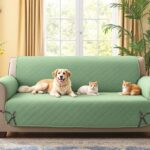 Style and Protection: Best Pet Couch Cover with Straps Picks