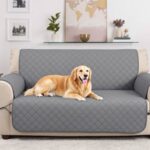 Shield Your Style: Chic Pet Couch Covers for Every Home