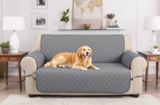Shield Your Style: Chic Pet Couch Covers for Every Home