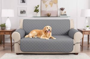 Shield Your Style: Chic Pet Couch Covers for Every Home