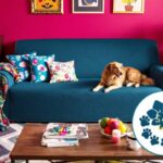 Unleash the Power: Pet Hair Resistant Couch Covers Made Easy