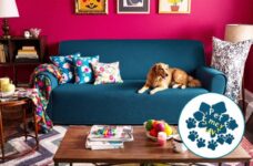 Unleash the Power: Pet Hair Resistant Couch Covers Made Easy