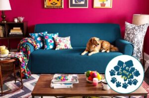 Unleash the Power: Pet Hair Resistant Couch Covers Made Easy