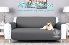 Stay Dry and Stylish: Waterproof Pet Couch Cover Essentials
