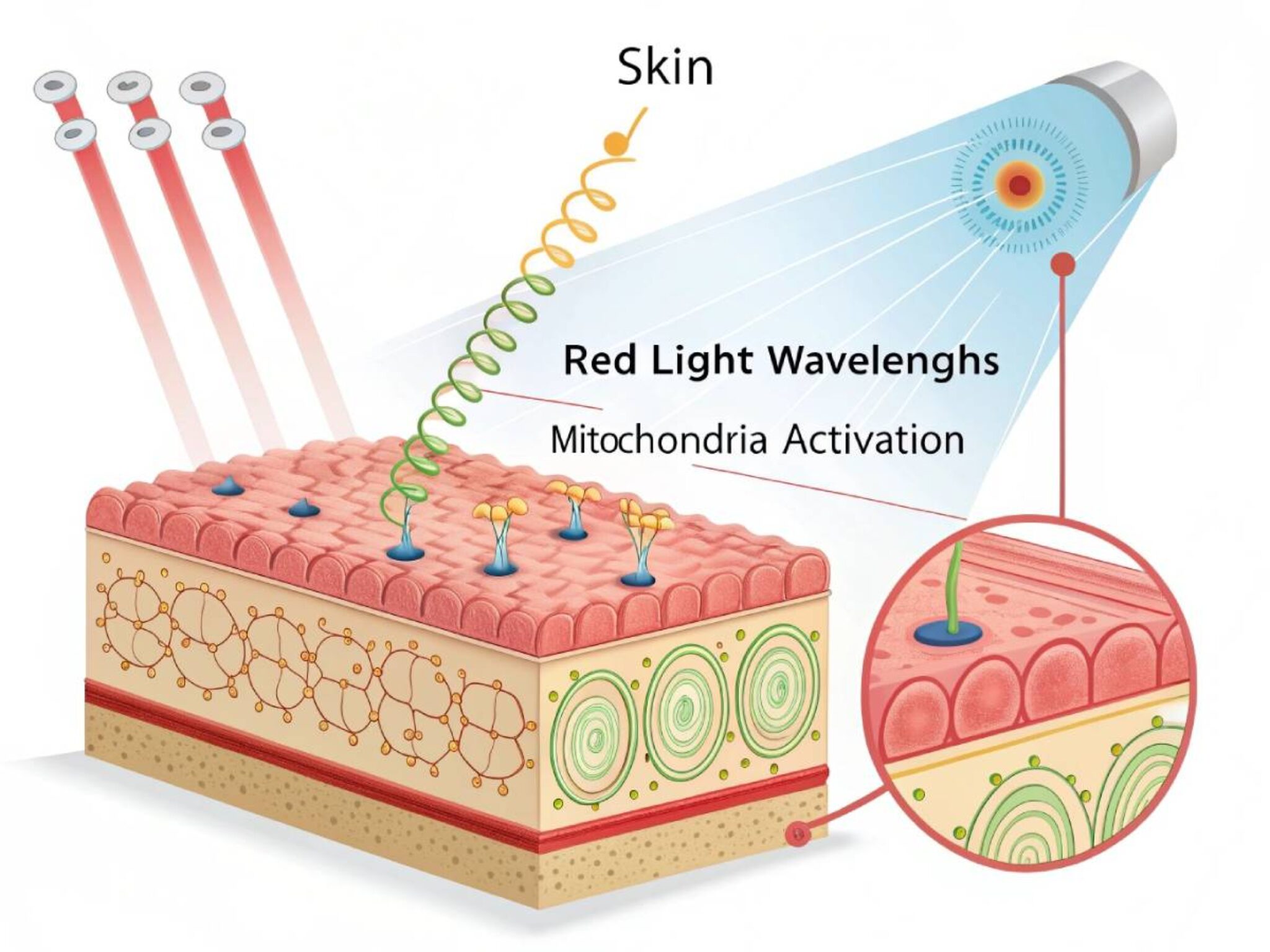 Radiate Confidence: Best Red Light Therapy Wands Reviewed - Viral Rang