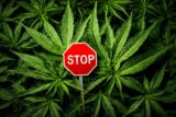 Navigating Legal Issues Related to Addiction