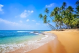 Sun, Sand, and Serenity: The Ultimate Guide to Sri Lanka’s Beaches