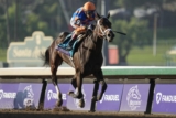 City Of Troy Set for Switch to Dirt at Breeders’ Cup