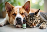 Relief in a Bottle: CBD for Pet Seizures Explained