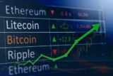 Learn The Importance and Reasons Why Cryptocurrency Is The Future With PrimeXBT Review