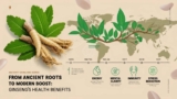 From Ancient Roots to Modern Boost: Exploring Ginseng’s Health Benefits