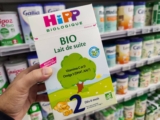 HIPP Formula: German VS Dutch VS UK