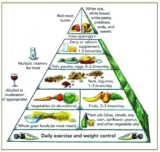 Understanding the Harvard Pyramid: A Guide to Balanced Nutrition