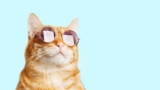 How to Improve Eyesight: A Simple Guide