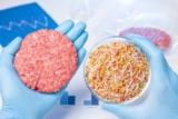 Meat Substitutes – Top Healthy Meat Substitutes That Provide The Protein You Need