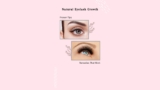 Natural Eyelash Growth: Proven Tips and Remedies That Work