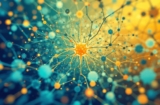 Elevating Understanding: Neural Networks Explained in Depth