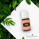 Ocotea Essential Oil: Nature’s Answer to Common Health Concerns